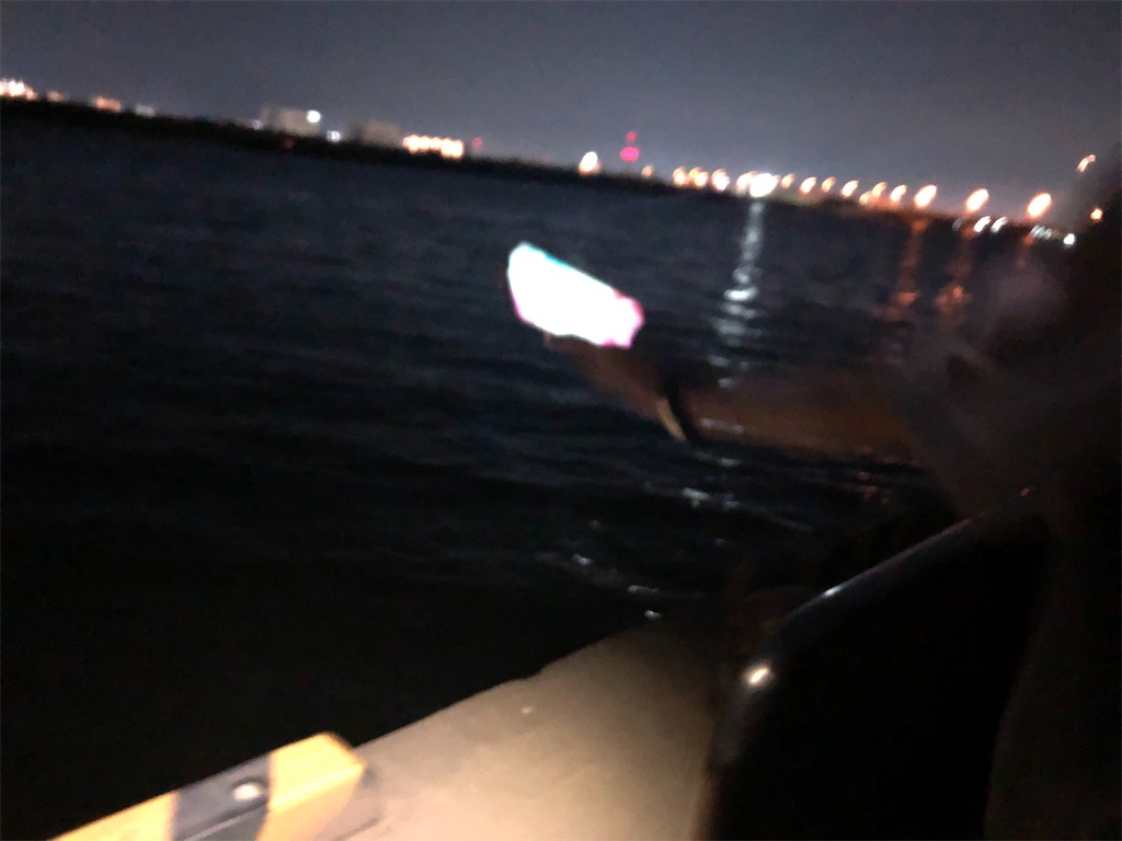 f:id:narutabi:20210516175451j:image