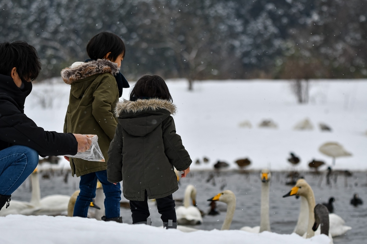 f:id:narutabi:20210715224042j:plain