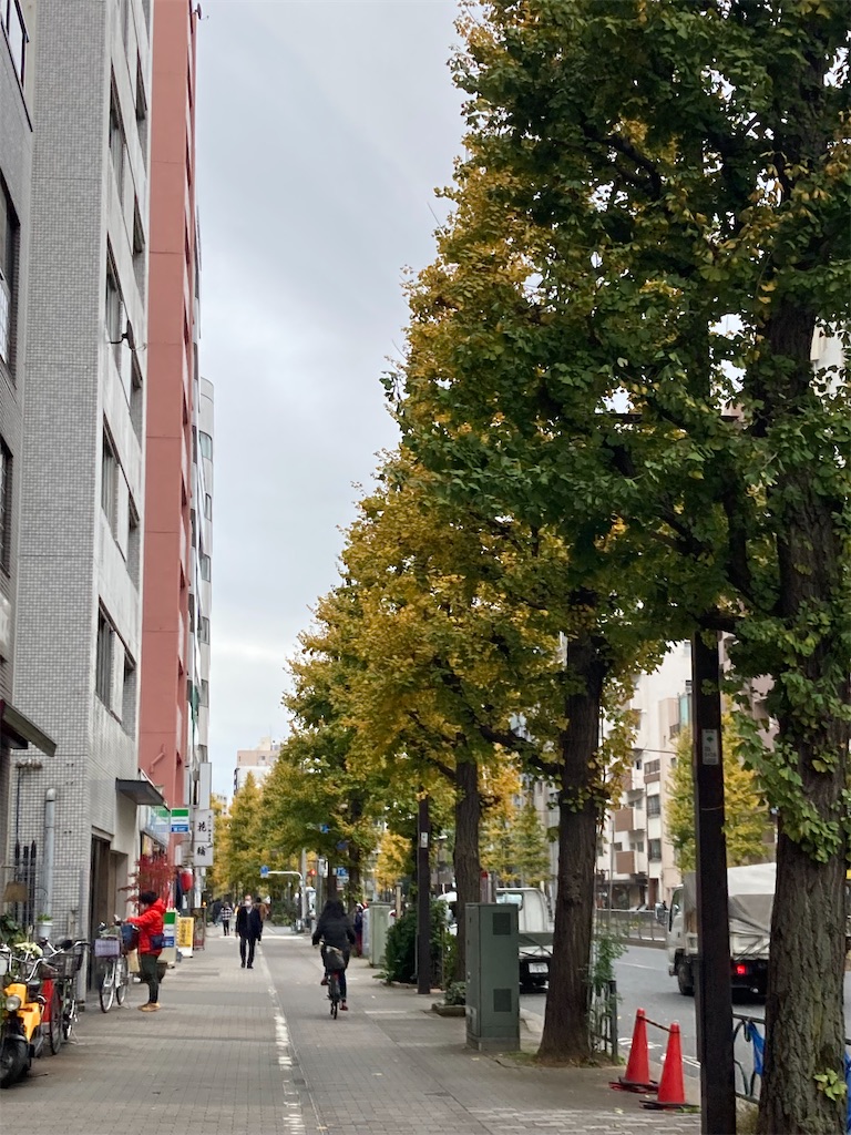 f:id:narutabi:20211207194932j:image f:id:narutabi:20211207194932j:image