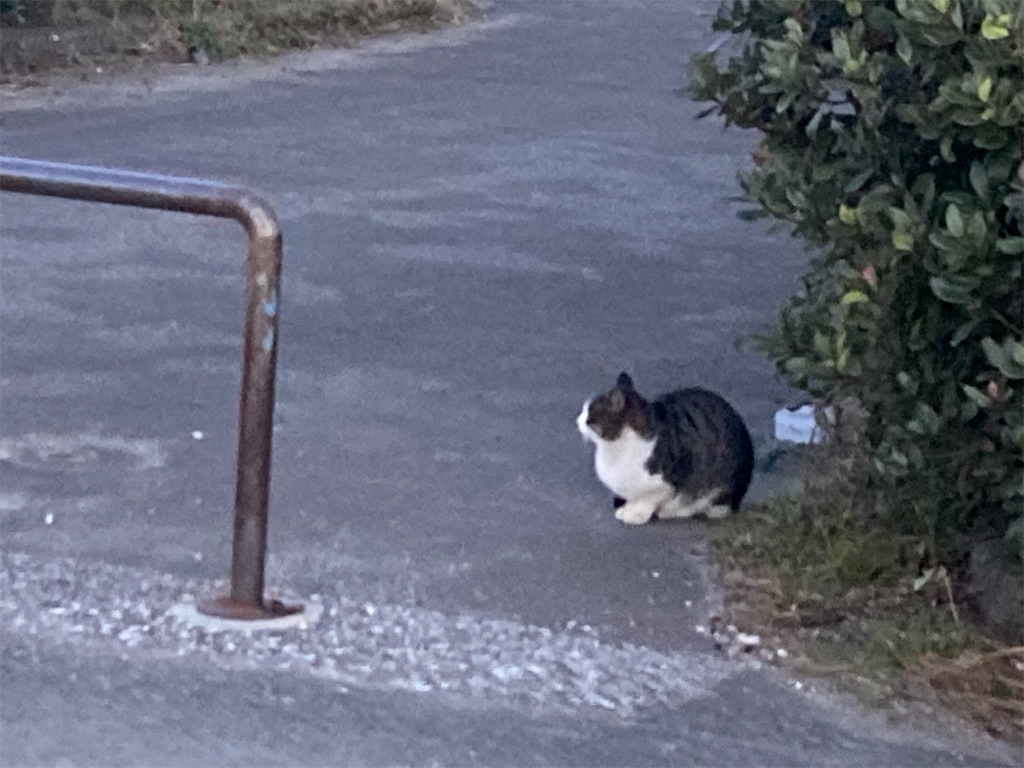 f:id:narutabi:20220101184211j:image f:id:narutabi:20220101184211j:image