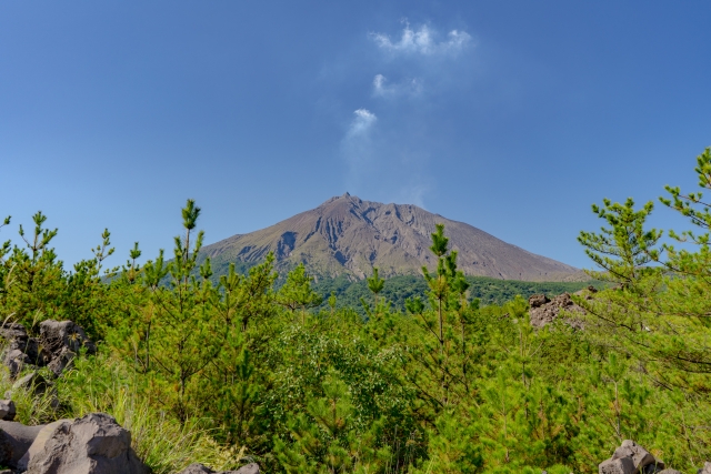 f:id:narutabi:20220107185523j:plain