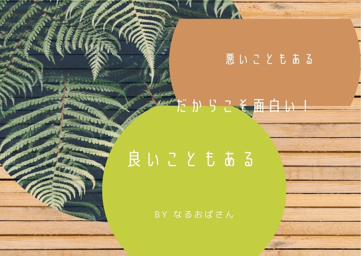 f:id:narutabi:20220219124535j:plain
