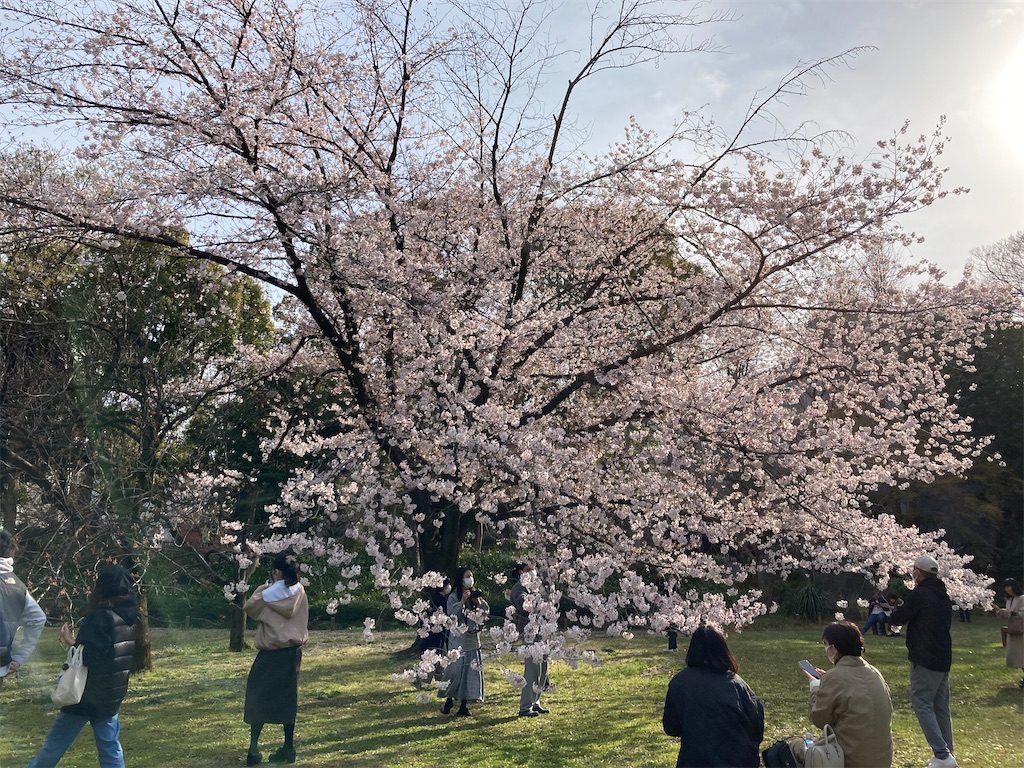 f:id:narutabi:20220403153502j:image f:id:narutabi:20220403153502j:image