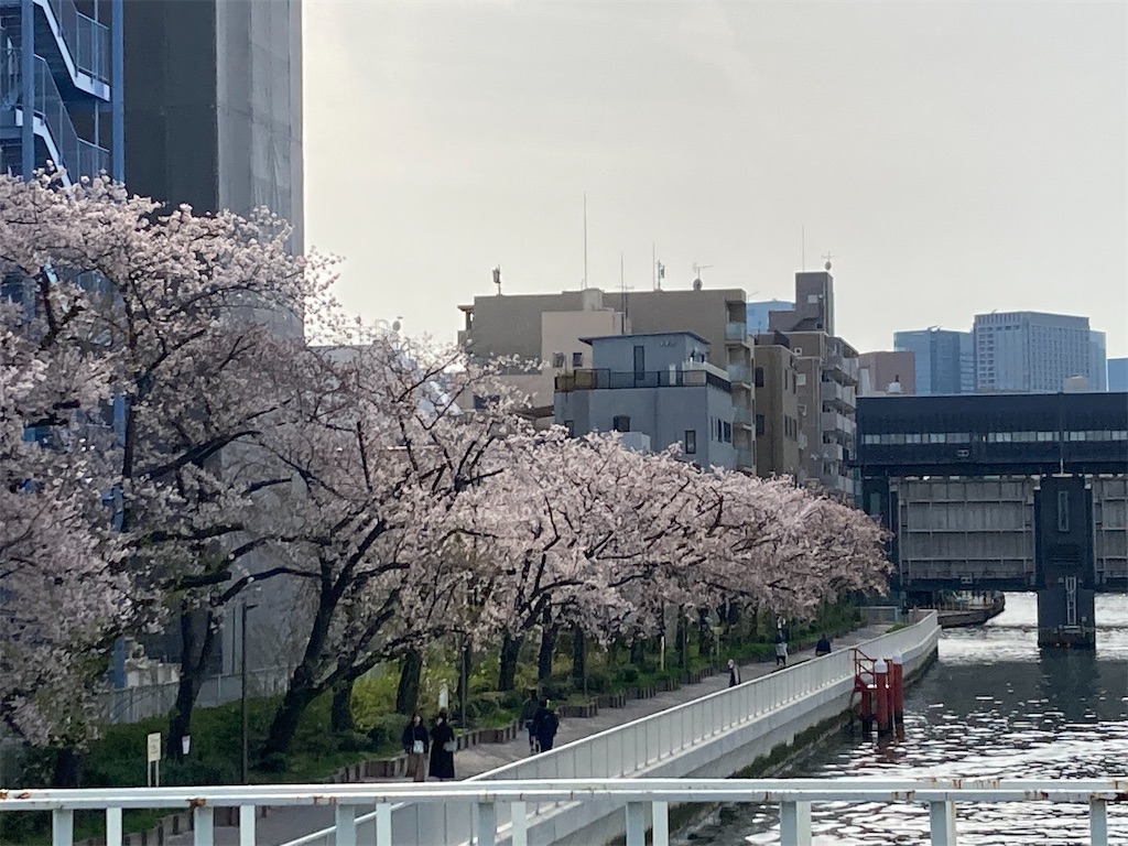 f:id:narutabi:20220403153515j:image f:id:narutabi:20220403153515j:image