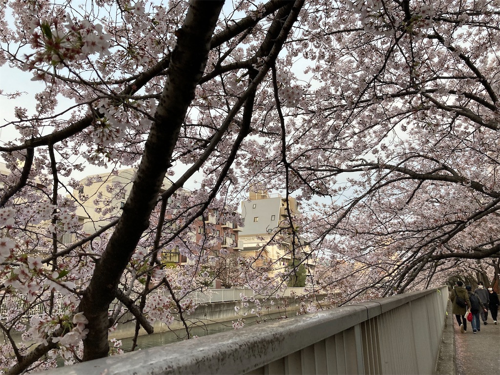 f:id:narutabi:20220403153518j:image f:id:narutabi:20220403153518j:image