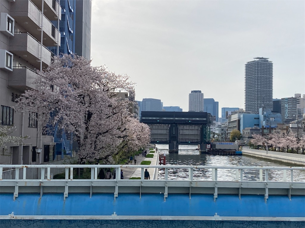 f:id:narutabi:20220403153524j:image f:id:narutabi:20220403153524j:image