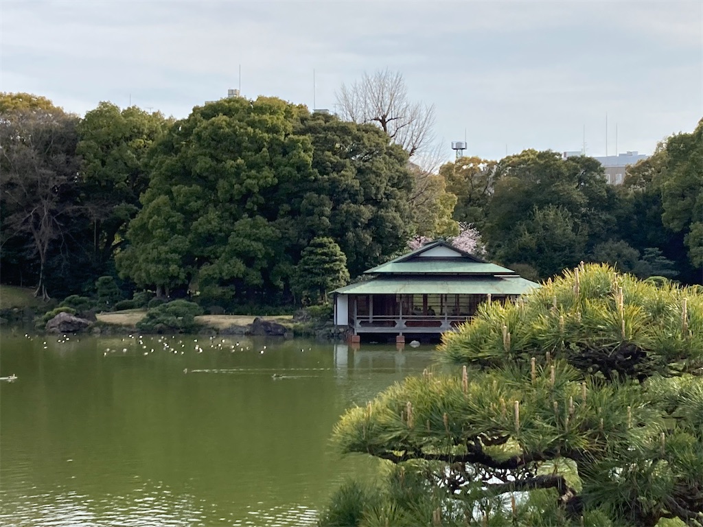 f:id:narutabi:20220403153530j:image f:id:narutabi:20220403153530j:image