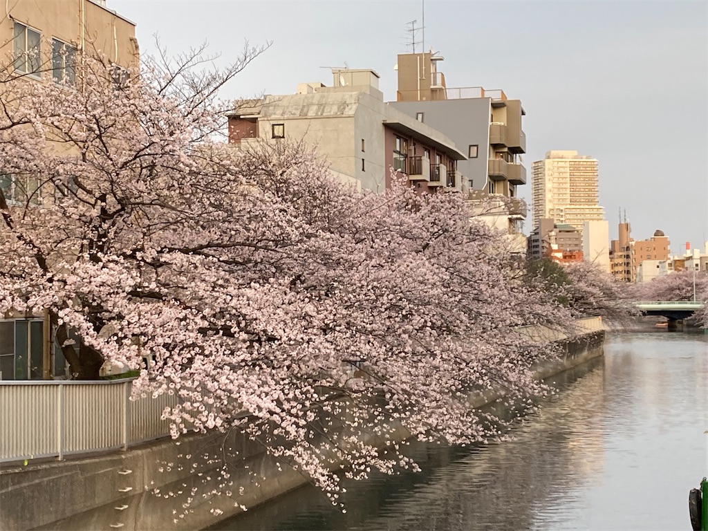 f:id:narutabi:20220403153533j:image f:id:narutabi:20220403153533j:image