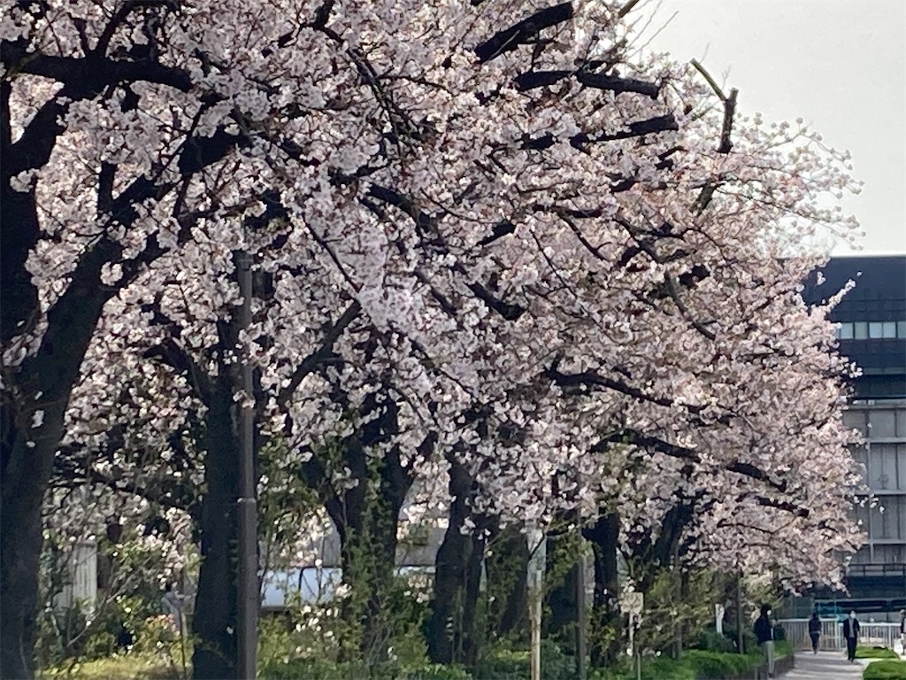 f:id:narutabi:20220403153547j:image f:id:narutabi:20220403153547j:image