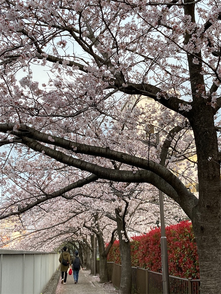 f:id:narutabi:20220403153641j:image f:id:narutabi:20220403153641j:image