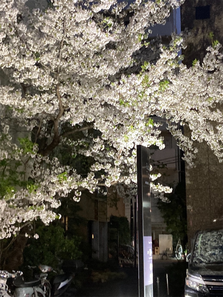 f:id:narutabi:20220403163625j:image