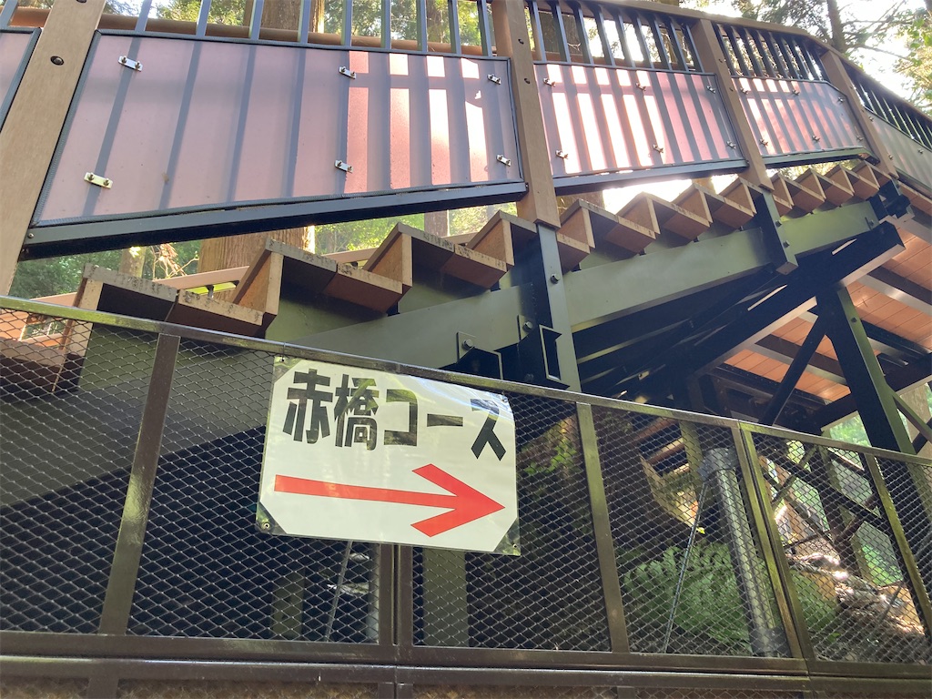 f:id:narutabi:20220626221149j:image f:id:narutabi:20220626221149j:image