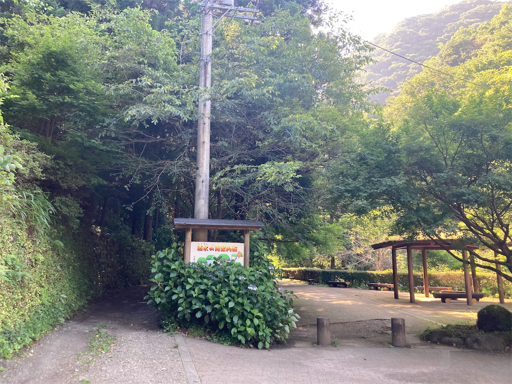 f:id:narutabi:20220626221258j:image f:id:narutabi:20220626221258j:image