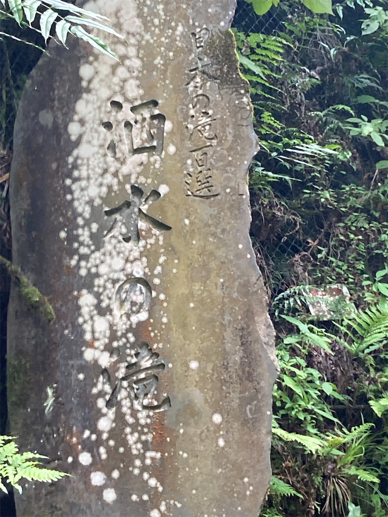 f:id:narutabi:20220626221303j:image f:id:narutabi:20220626221303j:image