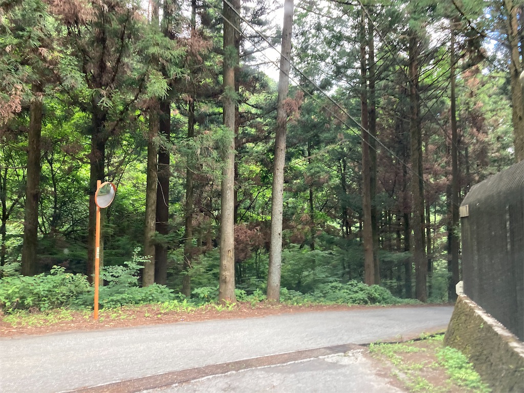 f:id:narutabi:20220801121831j:image