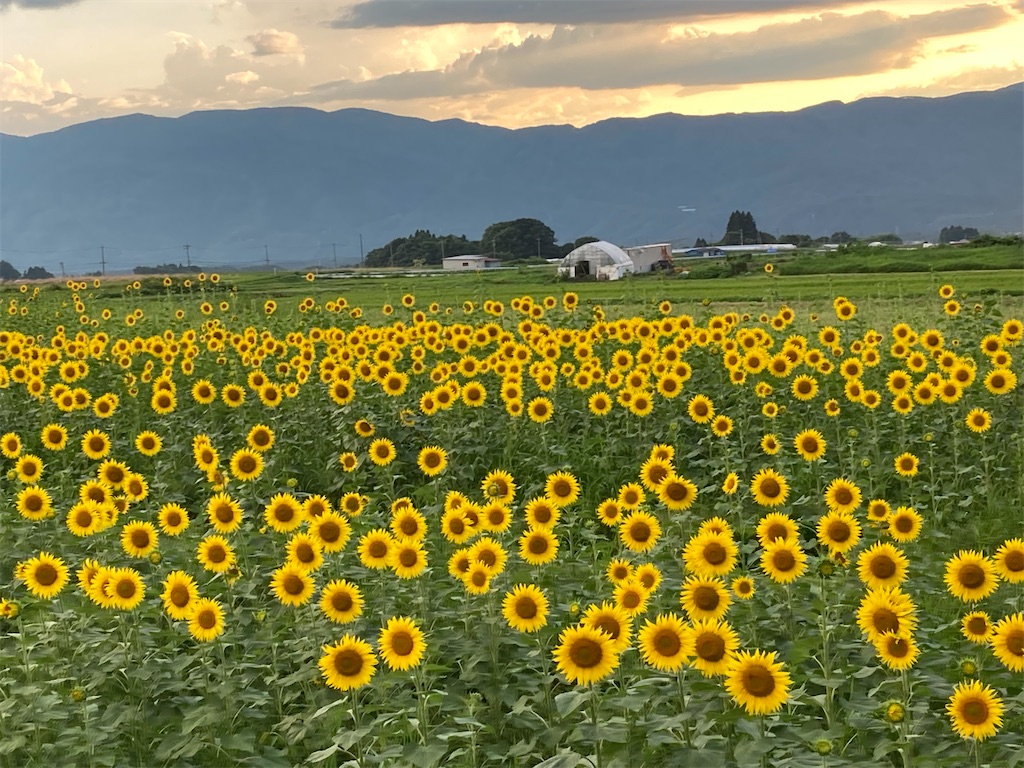 f:id:narutabi:20220810105627j:image