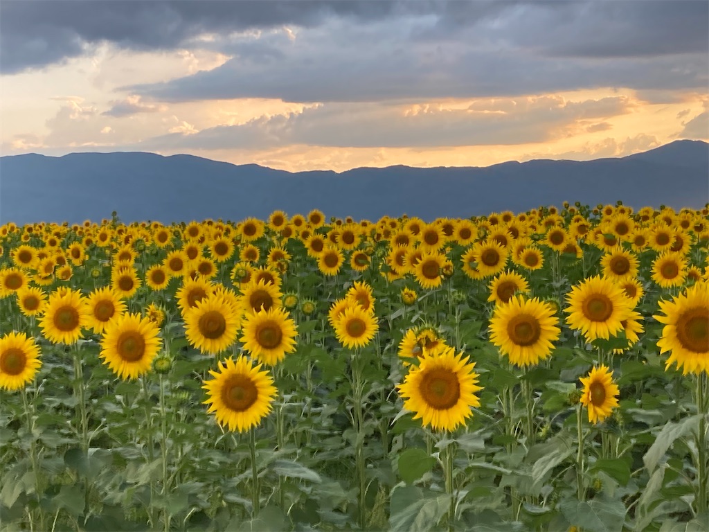 f:id:narutabi:20220810105636j:image