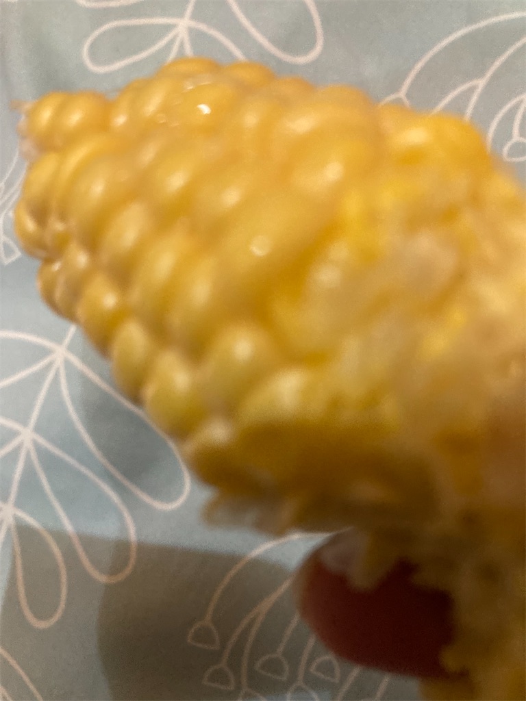 f:id:narutabi:20220821014031j:image