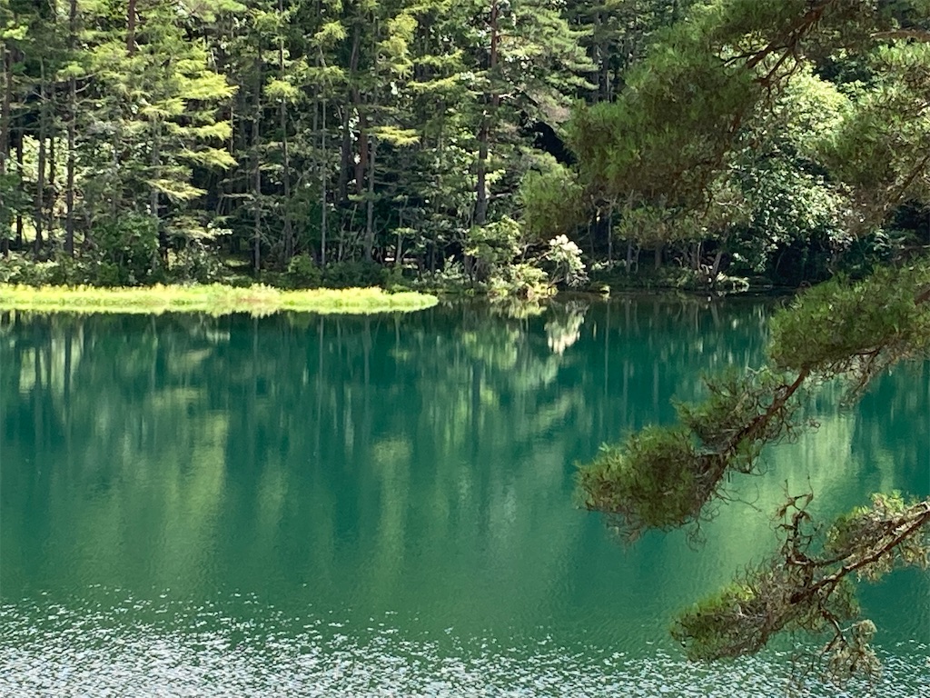 f:id:narutabi:20220821014034j:image