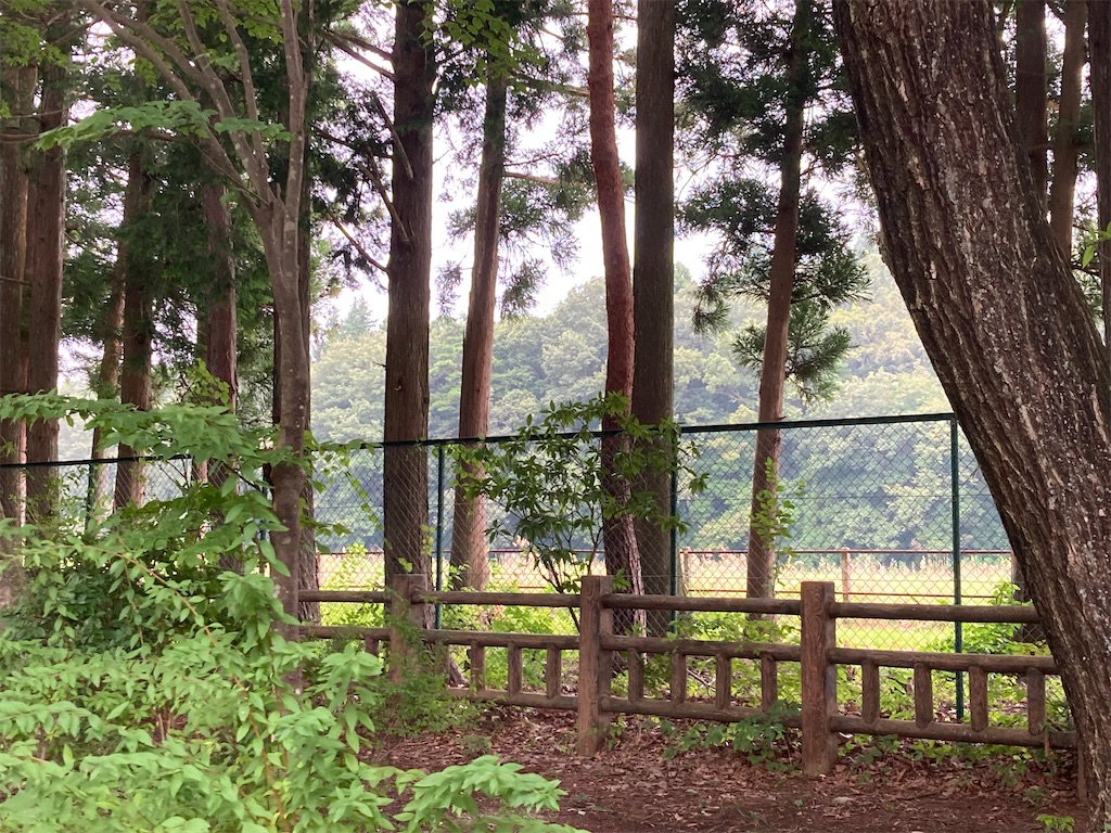 f:id:narutabi:20220828121612j:image