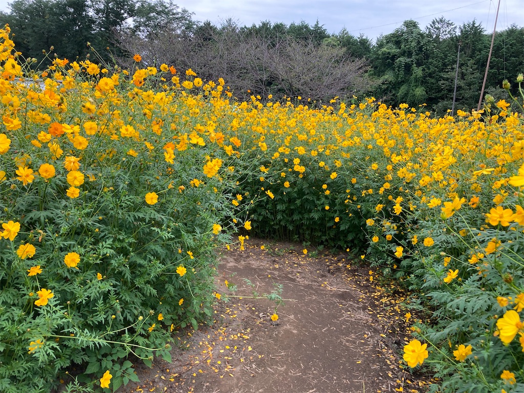 f:id:narutabi:20220919125727j:image f:id:narutabi:20220919125727j:image