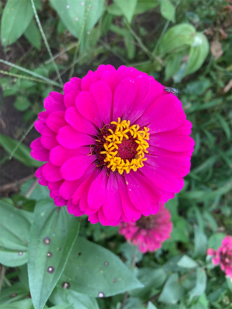 f:id:narutabi:20220919125758j:image f:id:narutabi:20220919125758j:image