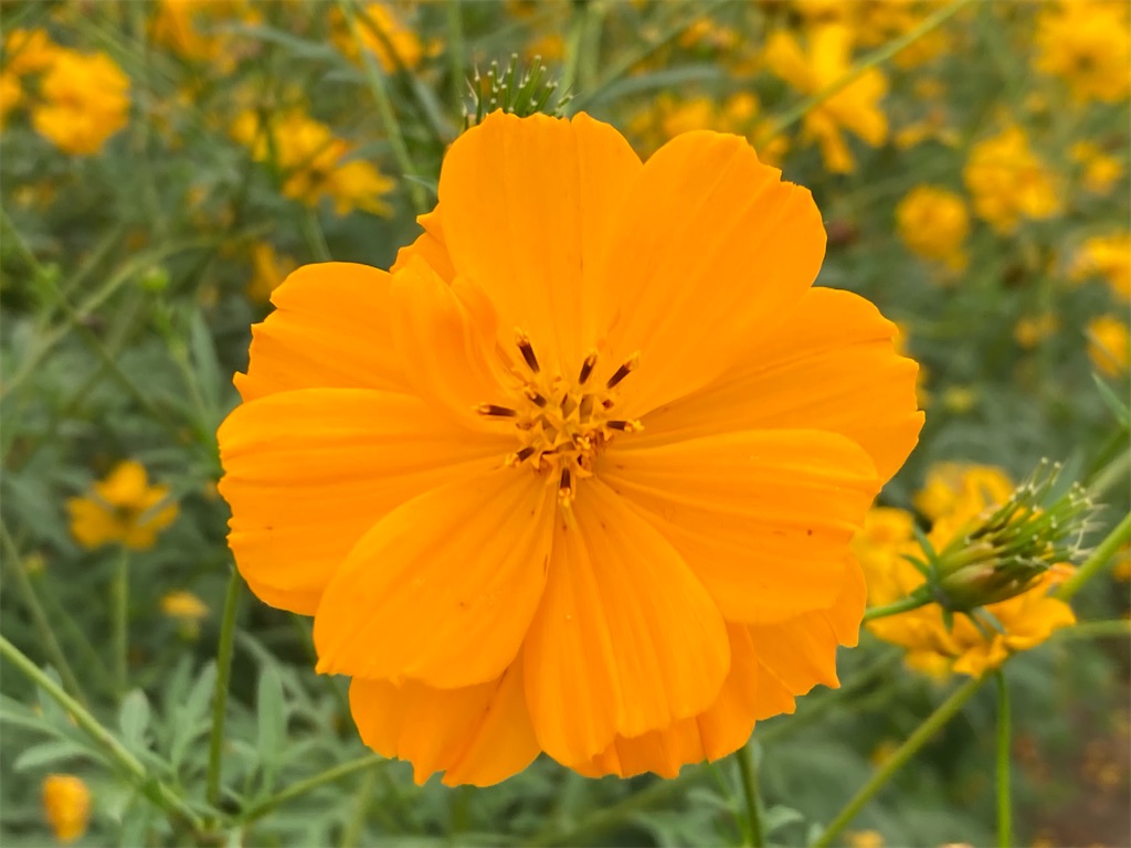 f:id:narutabi:20220919125812j:image f:id:narutabi:20220919125812j:image
