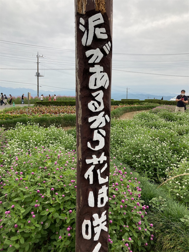 f:id:narutabi:20220919125817j:image f:id:narutabi:20220919125817j:image