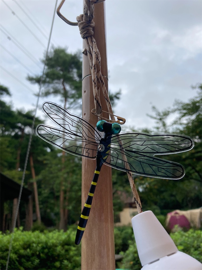f:id:narutabi:20220922165737j:image