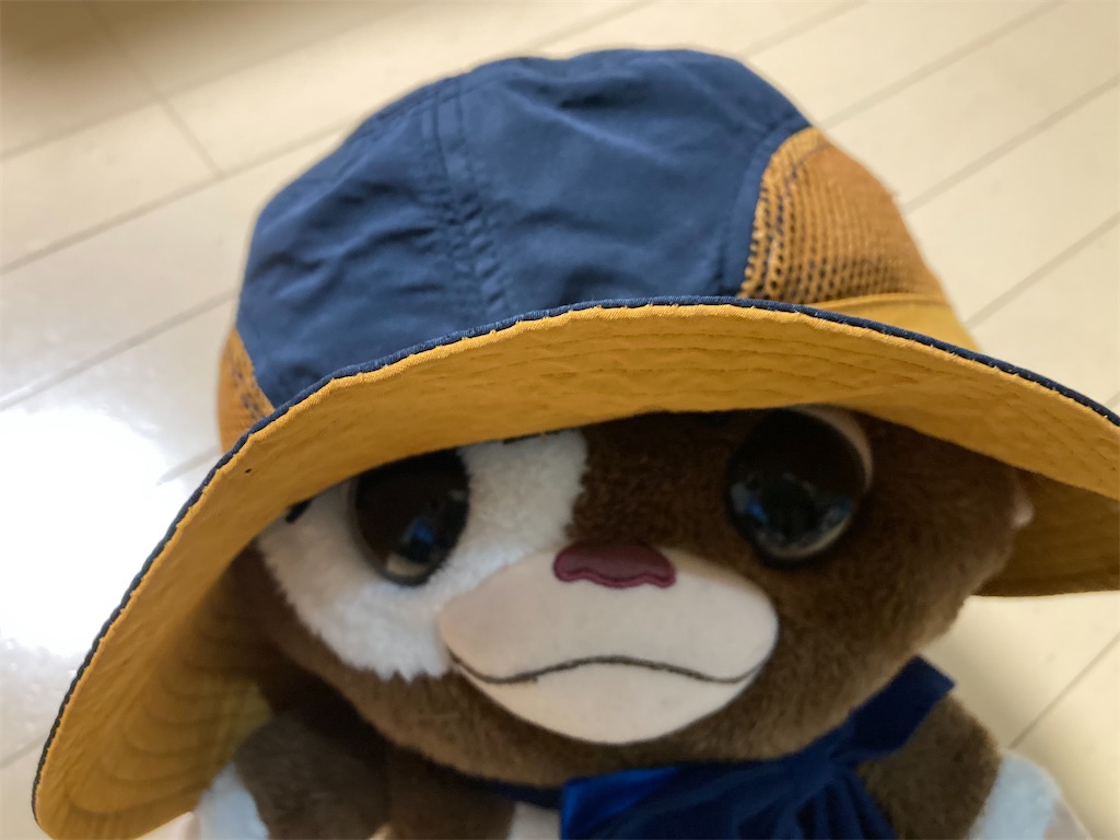 f:id:narutabi:20221006220040j:image