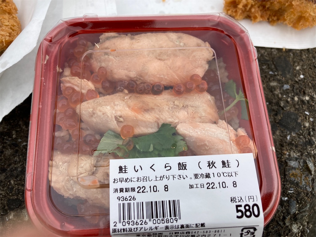 f:id:narutabi:20221009130119j:image