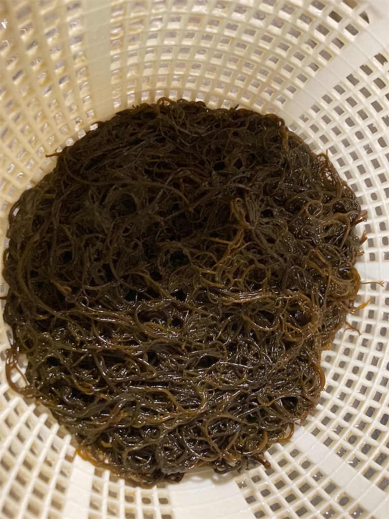 f:id:narutabi:20221009234122j:image