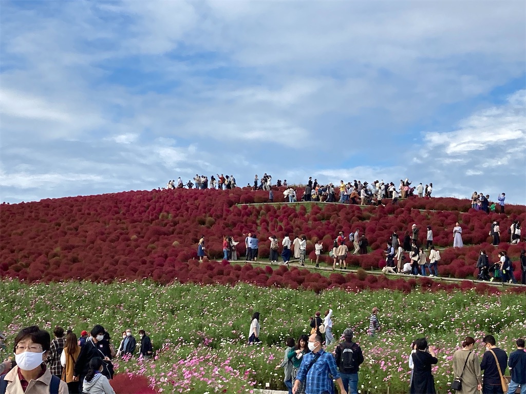 f:id:narutabi:20221016142958j:image