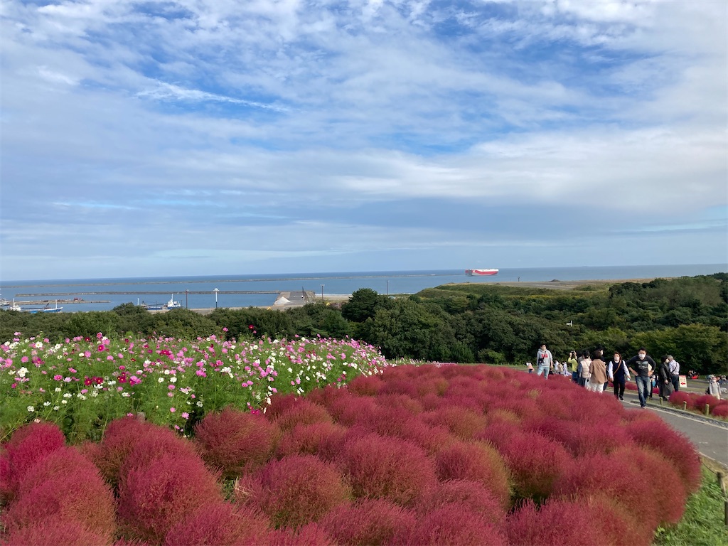 f:id:narutabi:20221016143001j:image