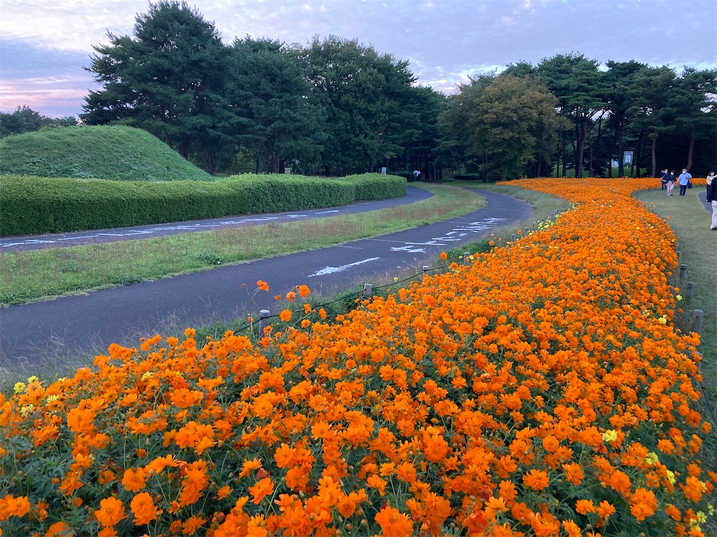 f:id:narutabi:20221016143052j:image