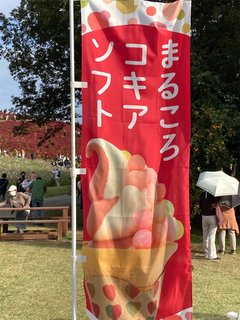 f:id:narutabi:20221016143058j:image