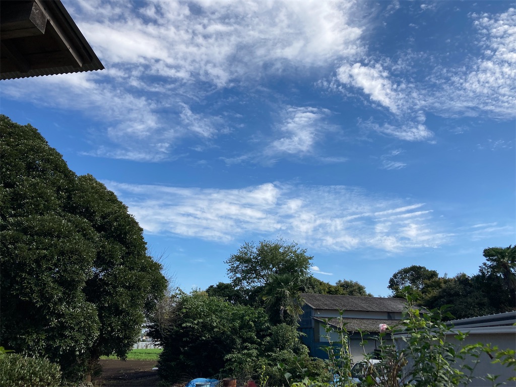 f:id:narutabi:20221023111003j:image