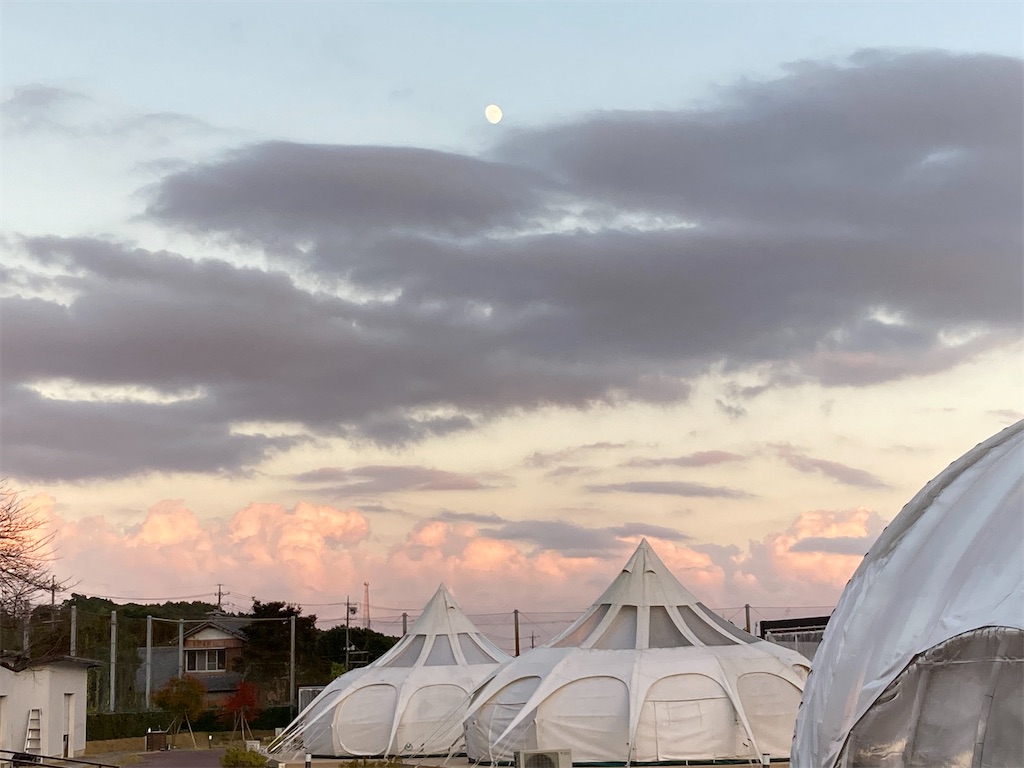 f:id:narutabi:20221106194530j:image