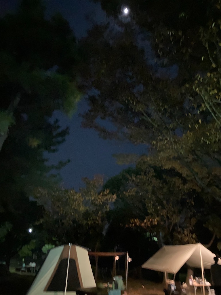 f:id:narutabi:20221115212657j:image