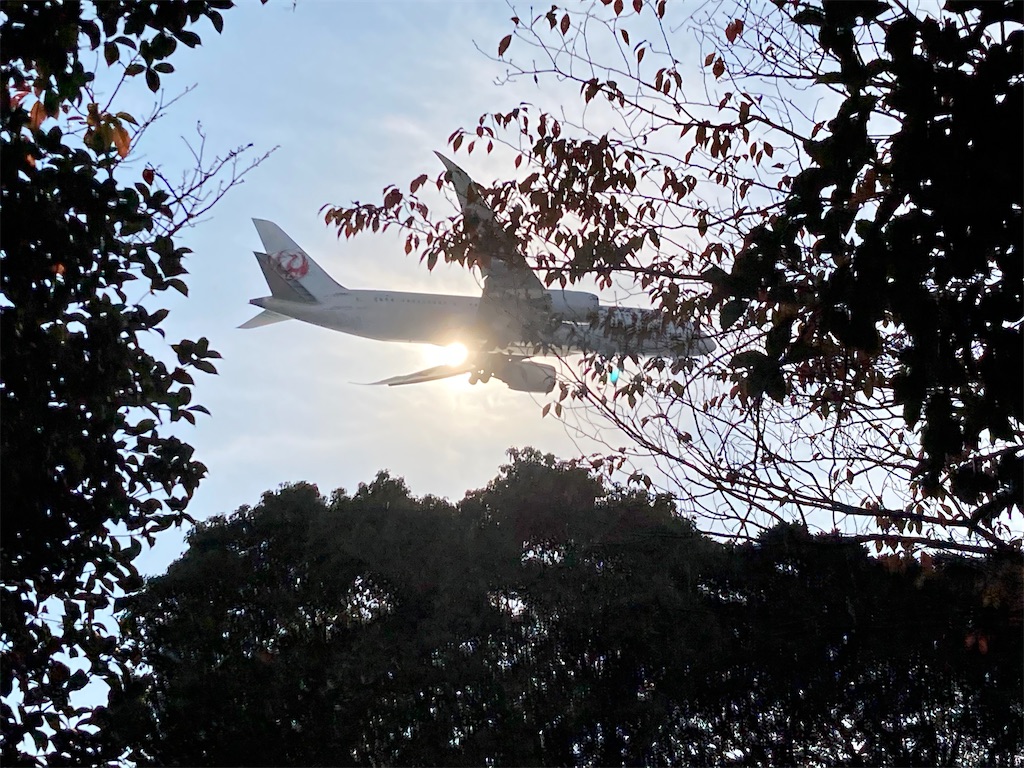 f:id:narutabi:20221116095422j:image