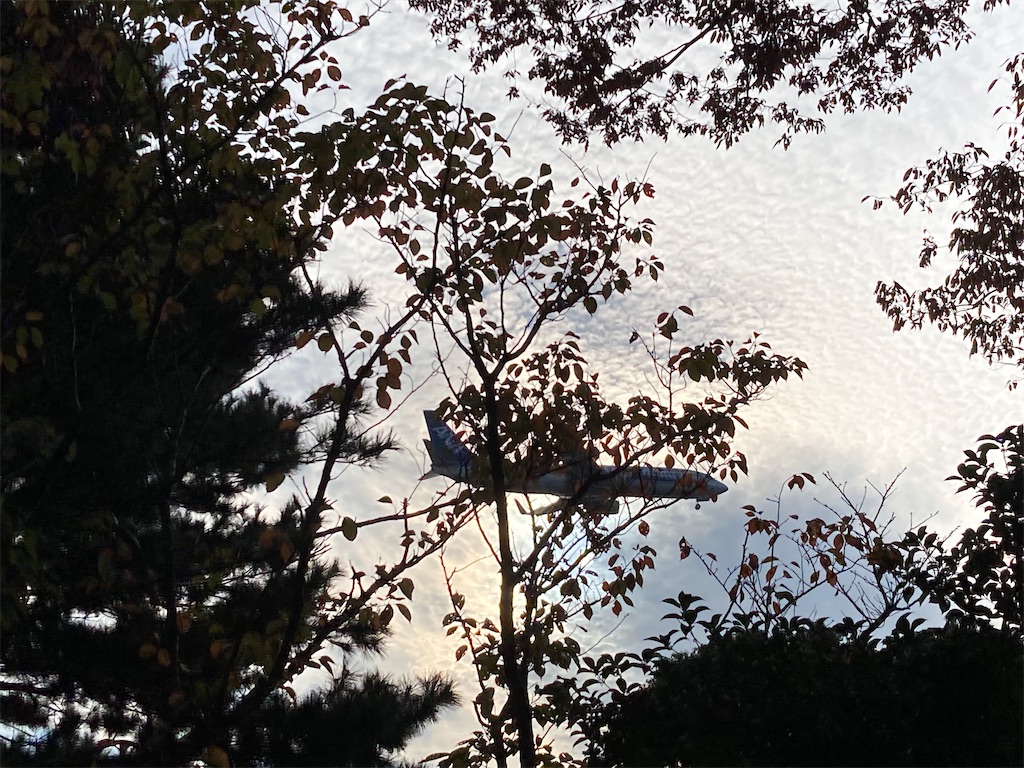 f:id:narutabi:20221116095434j:image