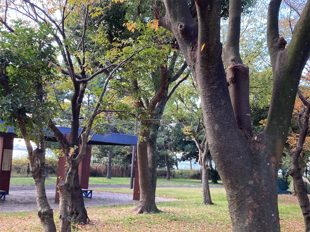 f:id:narutabi:20221116095438j:image