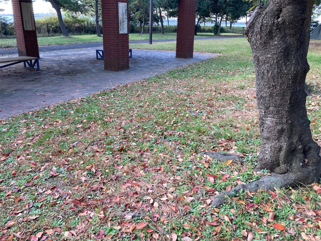 f:id:narutabi:20221116095539j:image