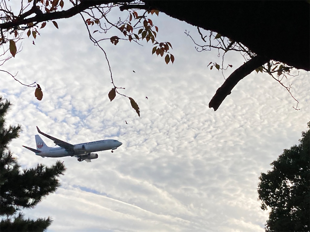 f:id:narutabi:20221116095546j:image