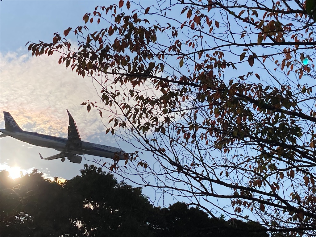 f:id:narutabi:20221116203745j:image