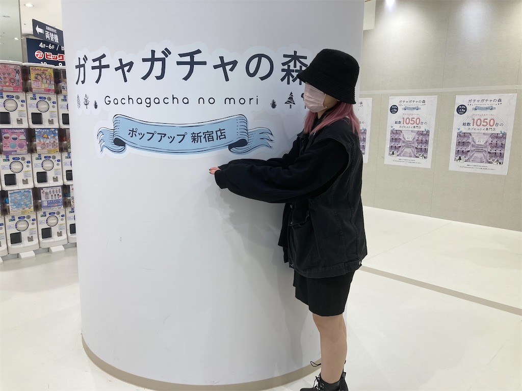 f:id:narutabi:20221119103724j:image