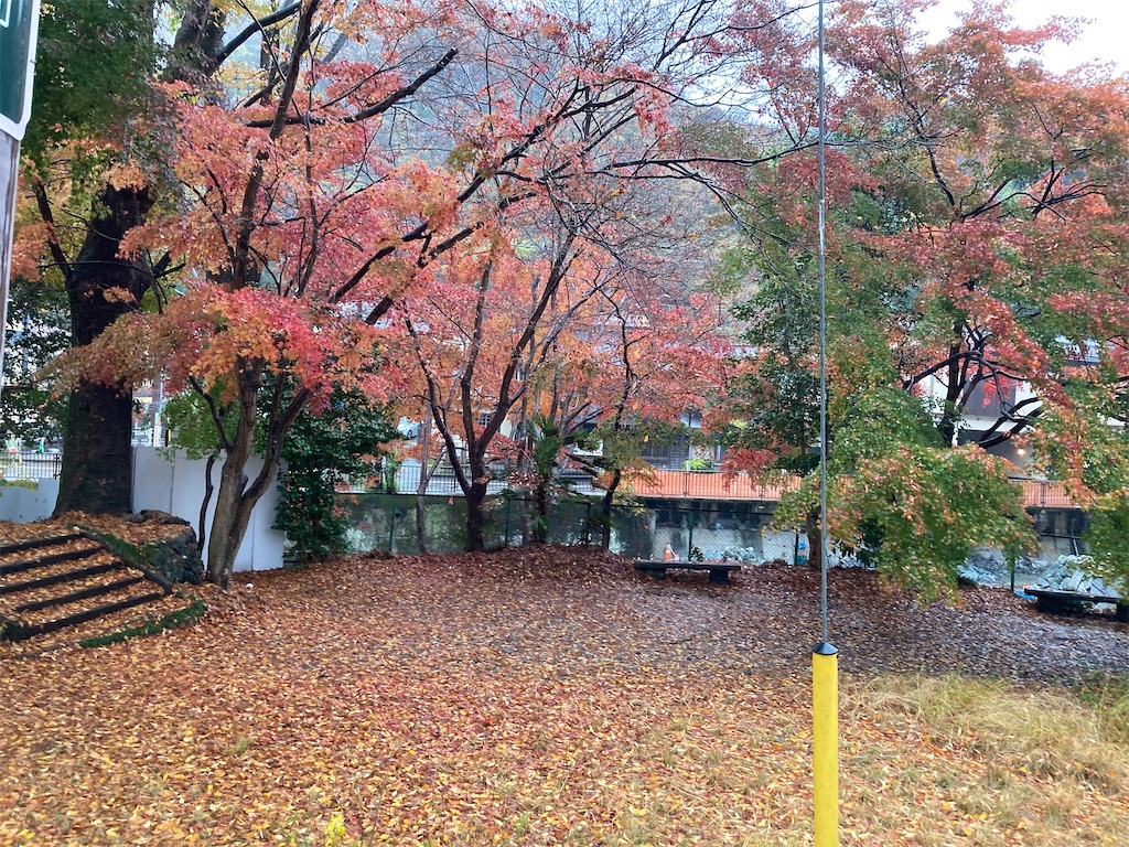 f:id:narutabi:20221124212754j:image