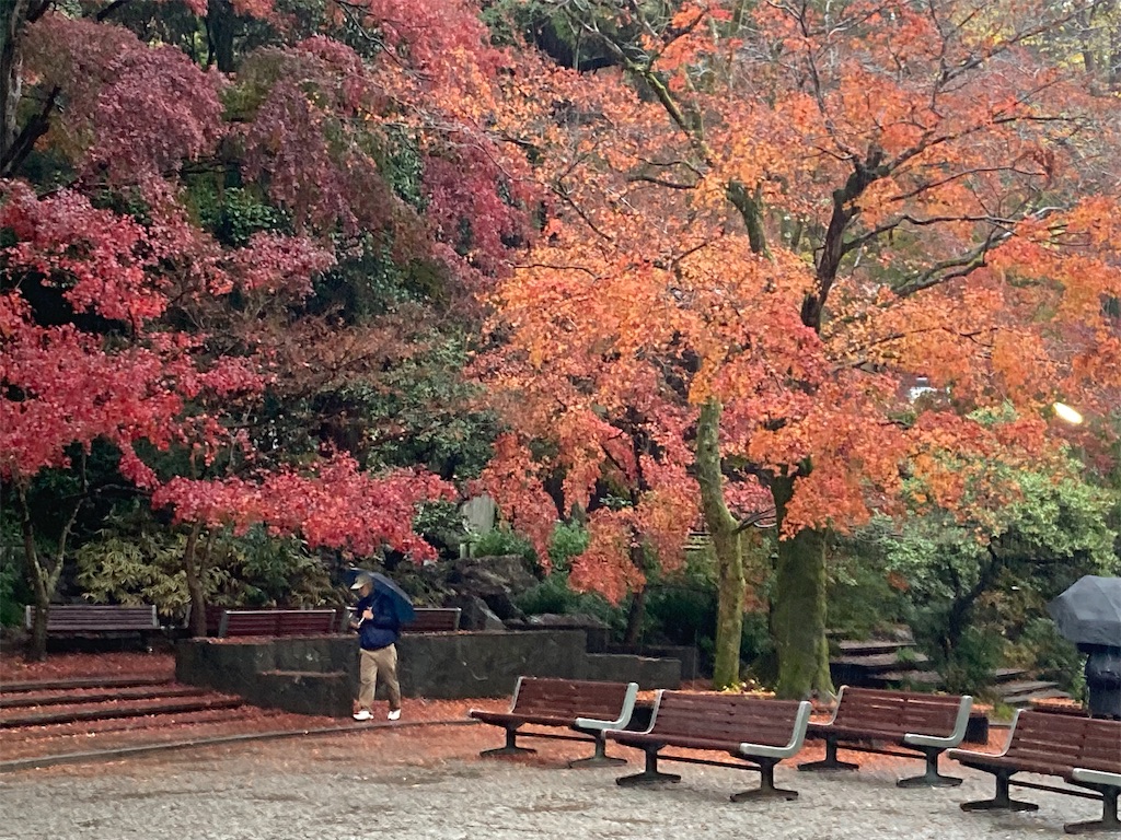 f:id:narutabi:20221124212847j:image