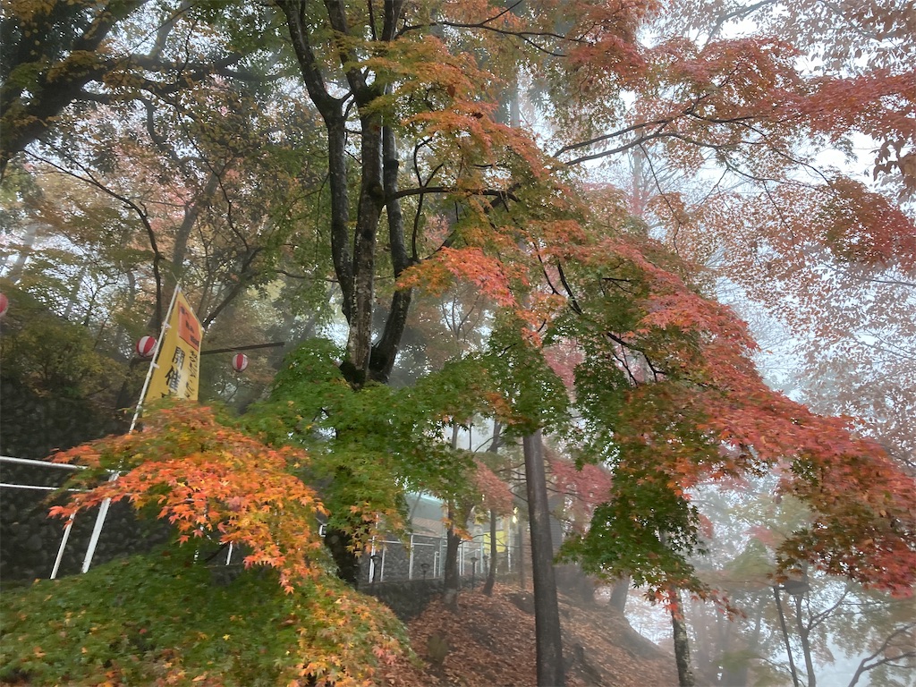 f:id:narutabi:20221124212907j:image