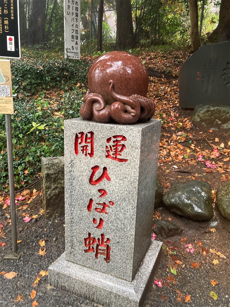 f:id:narutabi:20221124212914j:image